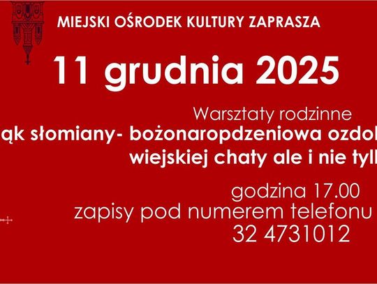 Pająk słomiany  i nie tylko...