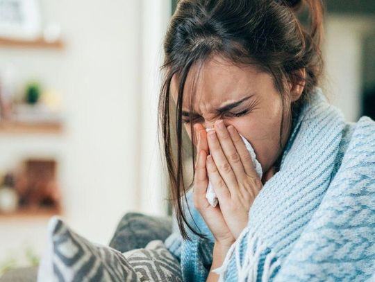 Polska specjalność. Chomikowanie L4 na grudzień. Jest powód