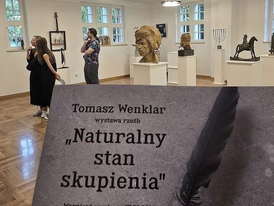 Wystawa rzeźb