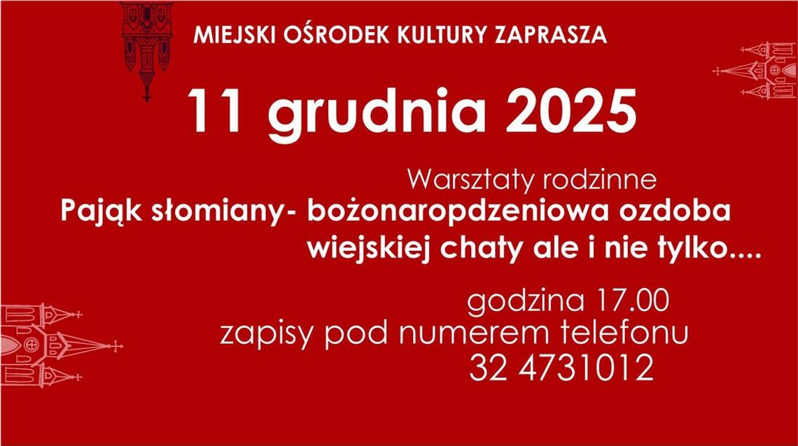 Pająk słomiany i nie tylko... Pająk słomiany i nie tylko...
