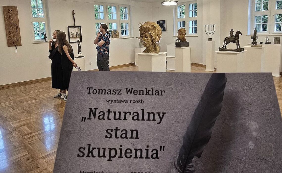 Wystawa rzeźb