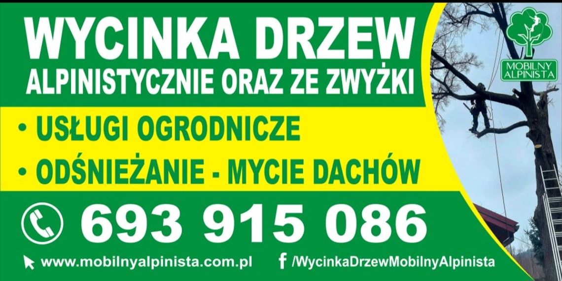 Alpinistyczna Wycinka Drzew Tarnów | Mobilny Alpinista | Usługi Ogrodnicze | Usługi Alpinistyczne Alpinistyczna Wycinka Drzew Tarnów | Mobilny Alpinista | Usługi Ogrodnicze | Usługi Alpinistyczne